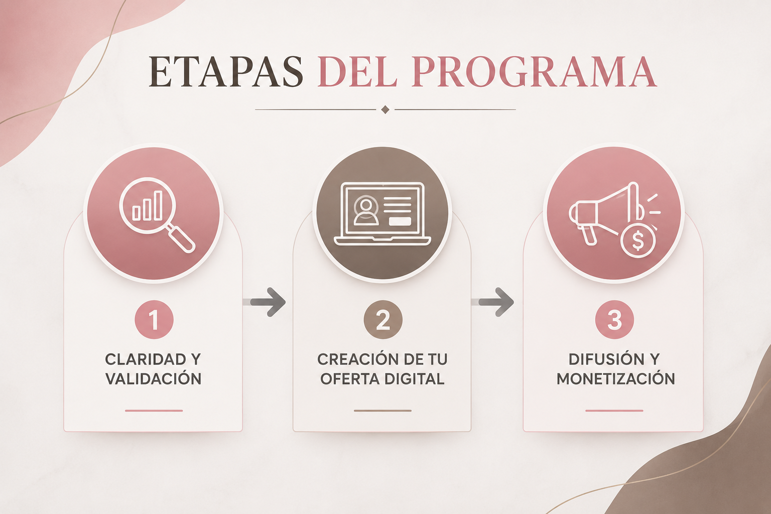 Etapas del Programa DTD